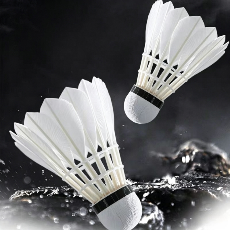 Feather Shuttlecock - Volantes de badminton de penas de